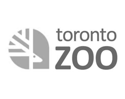 toronto-zoo