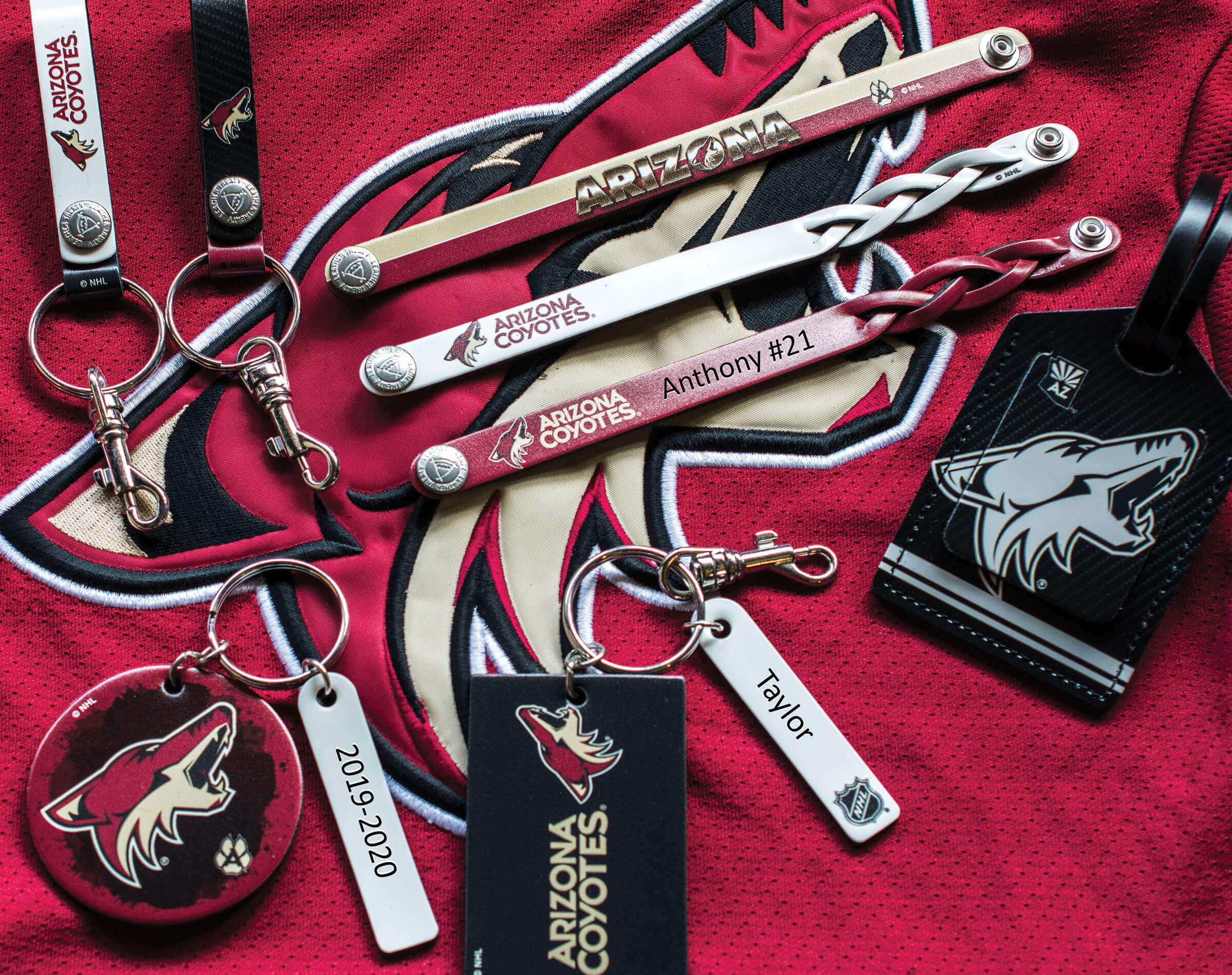<p>NHL Collection Of Engraving Examples Arizona Coyotes</p>